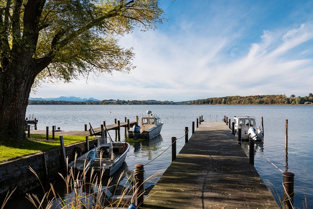 特鲁姆普晋 特鲁姆普晋