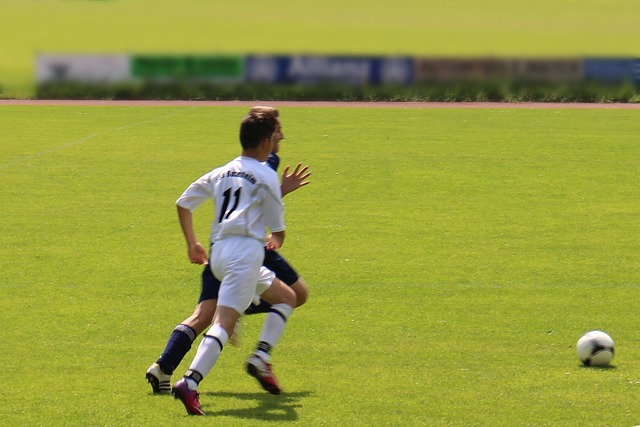 这一结论 这一结论