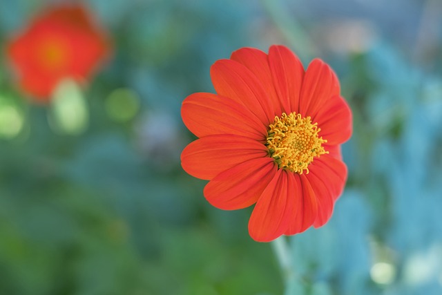 前所未有的 前所未有的