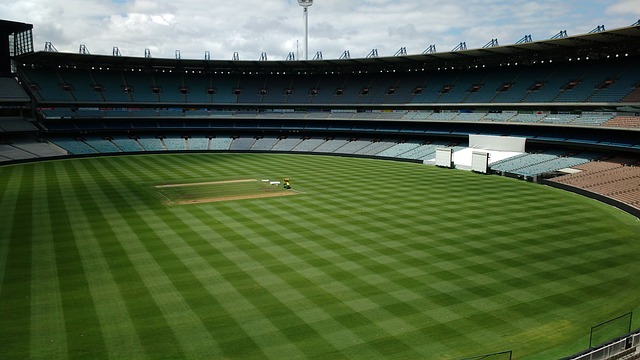 并表示他已 并表示他已