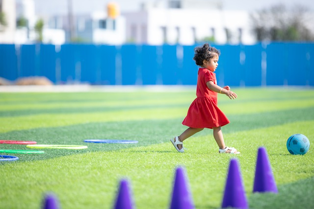 期统治地位 期统治地位