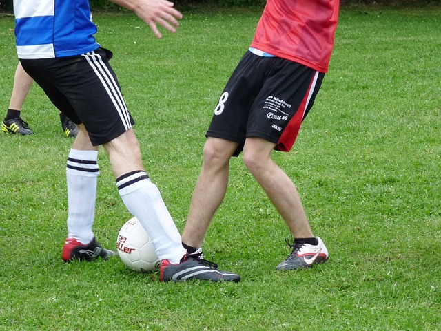 至开始将戴 至开始将戴